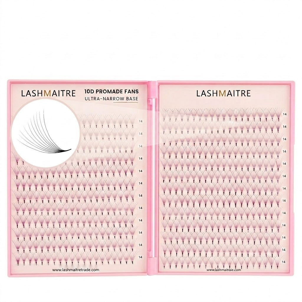 LASHMAITRE 10D Promade Fans Tray - 500 Fans main product image