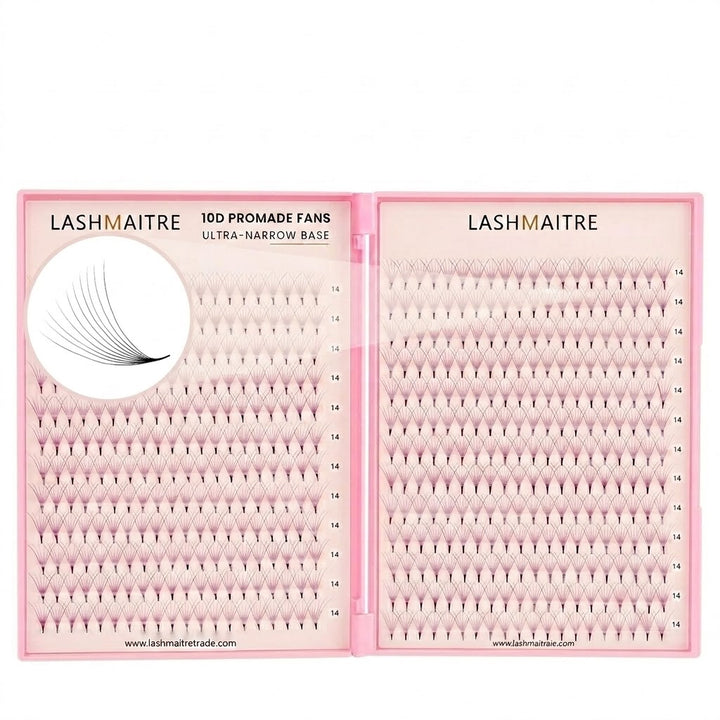 LASHMAITRE 10D Promade Fans Tray - 500 Fans main product image
