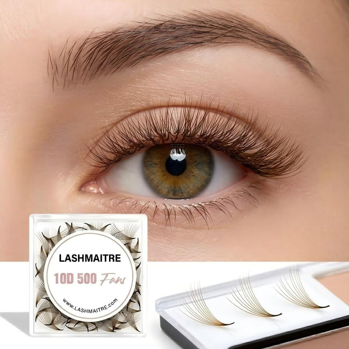 LASHMAITRE 10D Dark Brown Loose Premade Fans - Pointy Base 500 Fans applied eye result