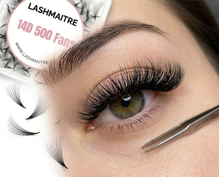 LASHMAITRE 14D Loose Premade Fans - Pointy Base 500 Fans applied eye result