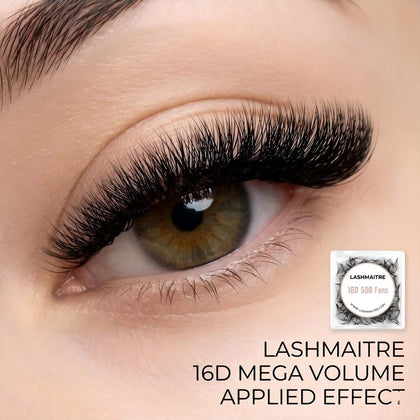 LASHMAITRE 16D Loose Premade Fans - Pointy Base 500 Fans applied eye result
