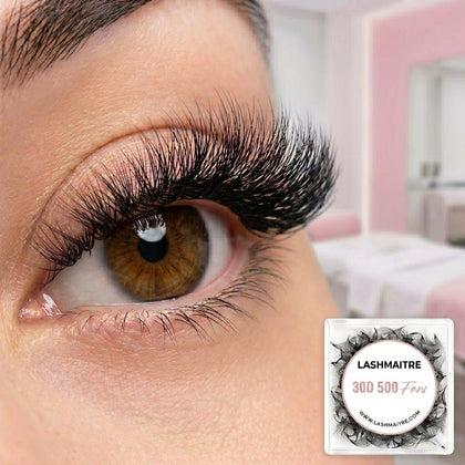 LASHMAITRE 30D Loose Premade Fans - Pointy Base 500 Fans applied eye result