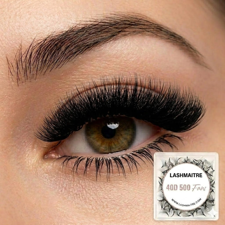 LASHMAITRE 40D Loose Premade Fans - Pointy Base 500 Fans applied eye result