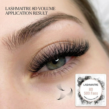 LASHMAITRE 8D Loose Premade Fans - Pointy Base 500 Fans applied eye result