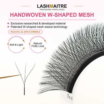 LASHMAITRE W Shape 3D Premade Volume Fan Lashes product detail