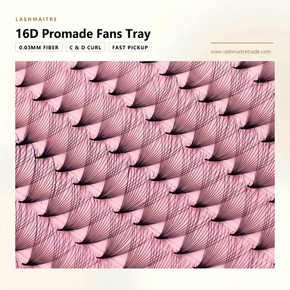 LASHMAITRE 16D Promade Fans Tray - 500 Fans ultra-narrow base fan detail
