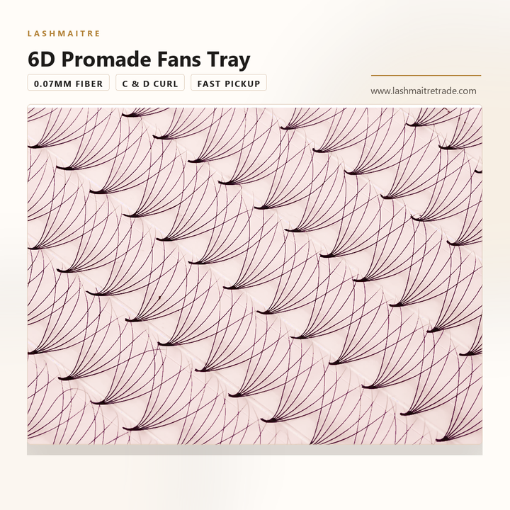 LASHMAITRE 6D Promade Fans Tray - 500 Fans ultra-narrow base fan detail