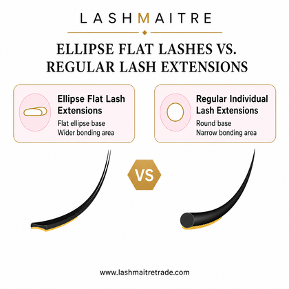 LASHMAITRE Ellipse Flat Lashes 0.15mm ellipse flat lashes vs regular lash extensions comparison