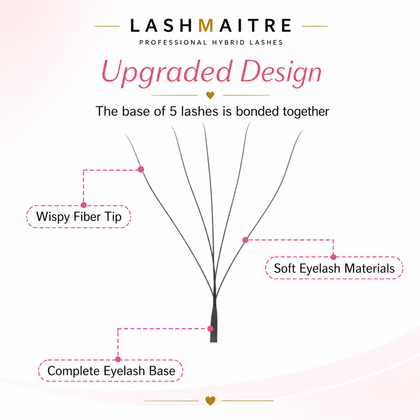 LASHMAITRE W Shape 5D Premade Volume Fan Lashes upgraded design bonded 5-lash base detail