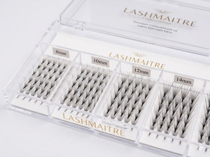 LASHMAITRE Mixed Length Loose Premade Fans - 600 Fans mixed length compartment detail